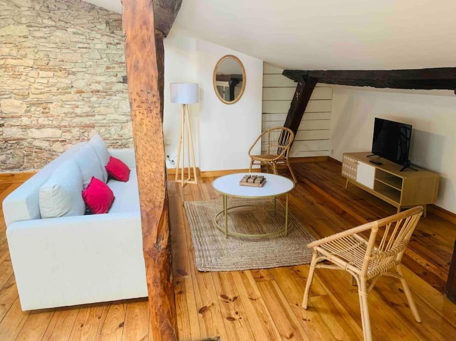 Spacieux Appartement En Plein Coeur De Castres Castres  Eksteriør bilde
