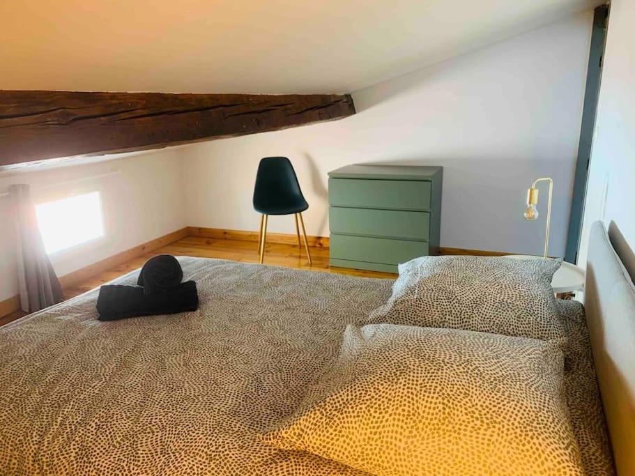 Spacieux Appartement En Plein Coeur De Castres Castres  Eksteriør bilde