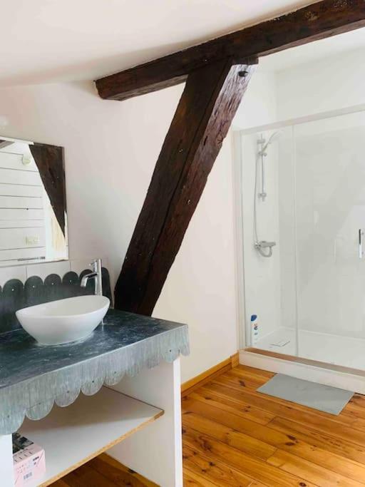 Spacieux Appartement En Plein Coeur De Castres Castres  Eksteriør bilde